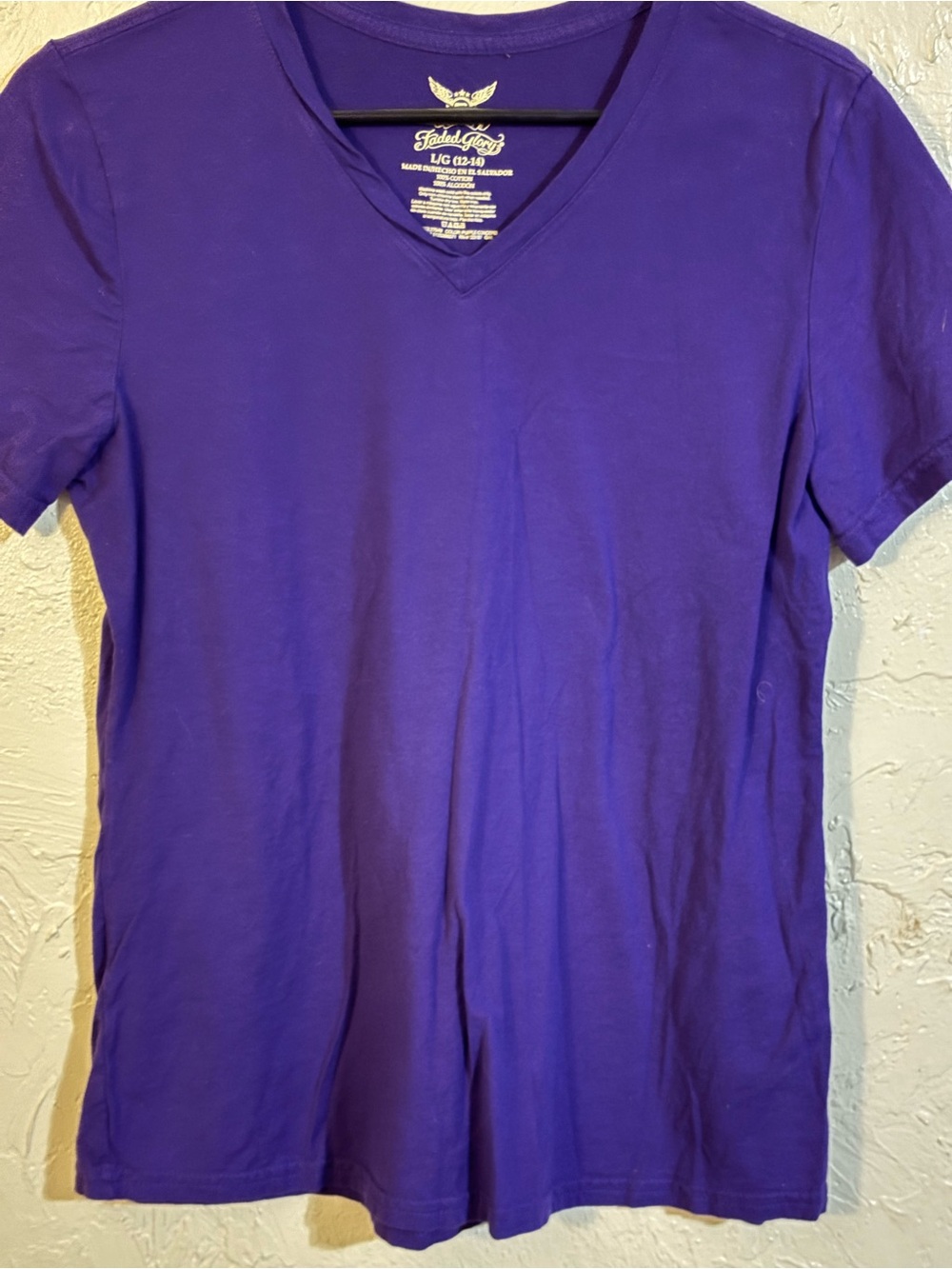 Faded Glory Men's V-Neck Tee in Purple